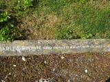 image of grave number 312812